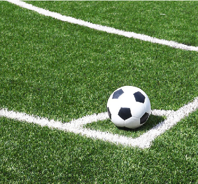 Astro Turf White Soccer Line