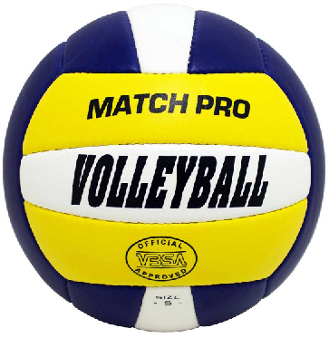Volleyball Match PRO