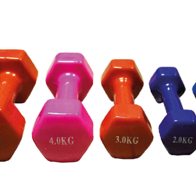Rubber Coated Dumbbell 1kg