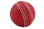 Cricket Ball Senior