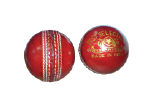 Cricket Ball 156gr Leather