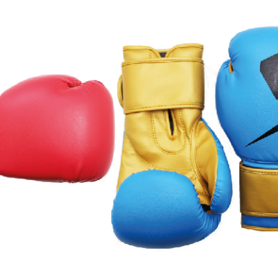 Boxing Gloves - Anky