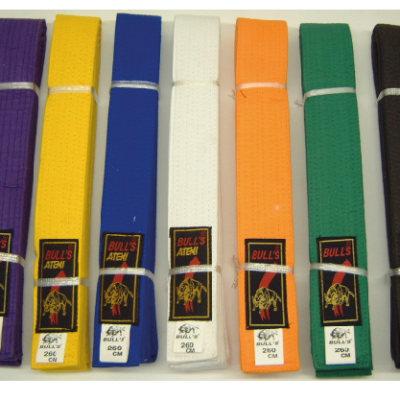 Karate Belt Senior