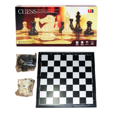 Chess/Draft Plastic Large
