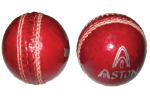 Cricket Ball Aston