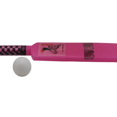 Cricket SET BIG BAT