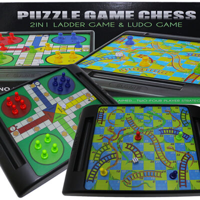 2 IN 1 Snake & Ladder & Ludo