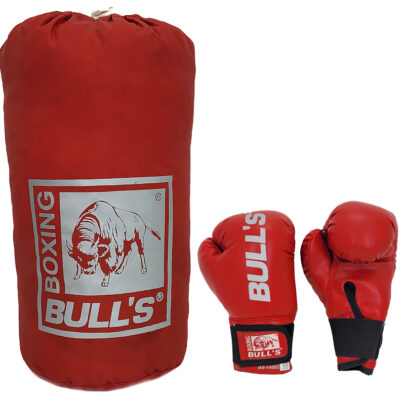 Kids Punching Bag Set