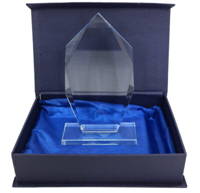 Trophy Cup 66cm Silver with Ribbon