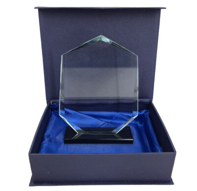 Glass Trophy 16.5cm