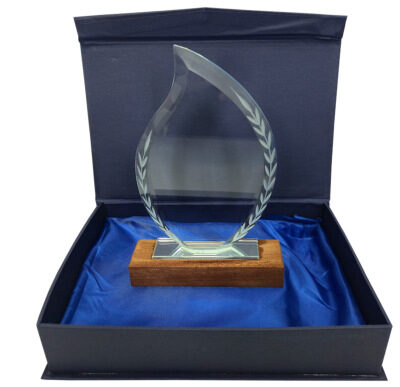 Trophy Figure 156 x 100mm