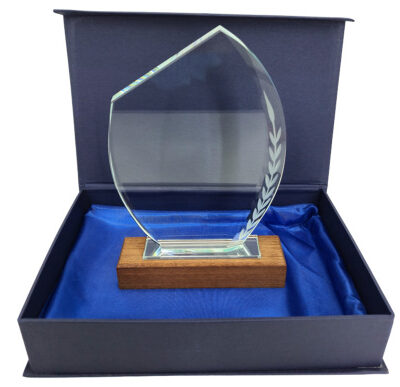 Glass Trophy 16cm