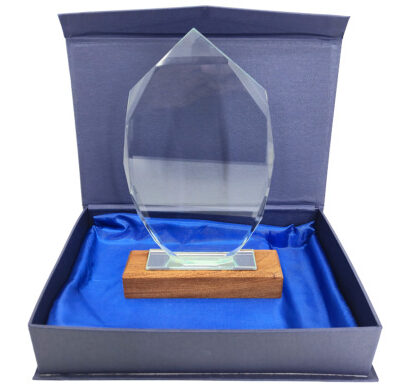 Trophy Figure 100 x 75mm